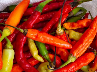 Kırmızı acı biber yakın çekim, beyaz arka planda yakalandı