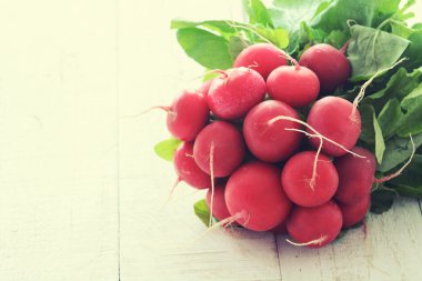 bohça-in parlak taze organik turp