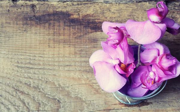 Orchidea egy fából készült háttér — Stock Fotó