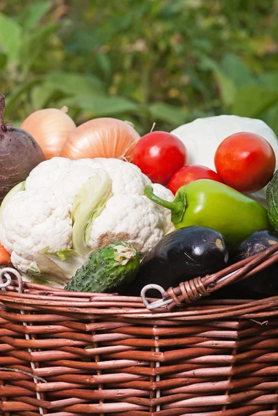 Produtos hortícolas — Fotografia de Stock