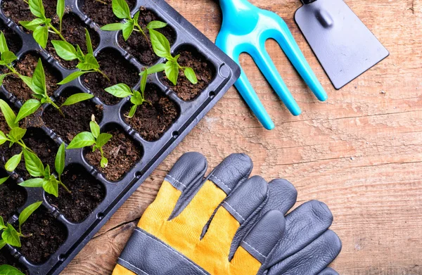 Garden tools — Stock Photo, Image