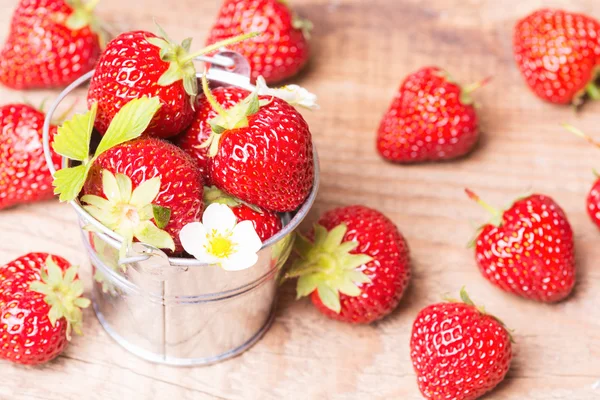 Erdbeeren — Stockfoto