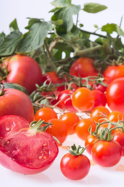 Tomatoes — Stock Photo, Image