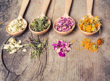 Doğa tıbbı. Otlar arka plan .