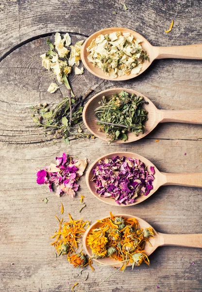 Nature medicine . Herbs background . - Stock Image - Everypixel