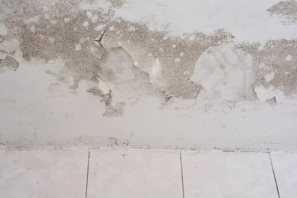 Mold in a edge of a room — Stock Photo, Image