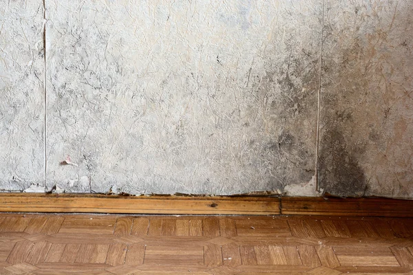 Black mold buildup in the corner — Stock Photo, Image