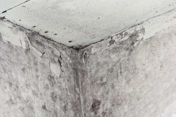 Mold in a edge of a room — Stock Photo, Image