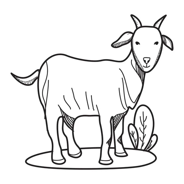 为具有白色背景的宰牲节制作卡通山羊涂鸦 — 图库矢量图片