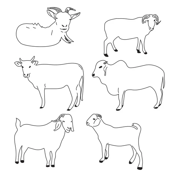 为祭祀宰牲节而设立的一组病媒农场动物 高级山羊 — 图库矢量图片