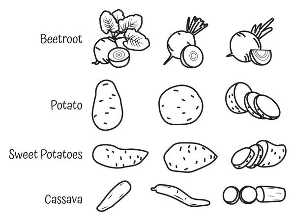 Line art tuber icons . Vector sweet potato, cassava, beetroot, and potato — Stock Illustration Line Art Tuber Icons Vector Sweet Potato Cassava Beetroot Potato Stock Illustration
