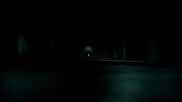 Karanlık Ürkütücü Koridor Kamera Koridordan Geçiyor Koridorun Sonunda Bir Hayalet — Stok video