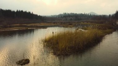 Drone bataklığın üzerinde yavaşça uçuyor.