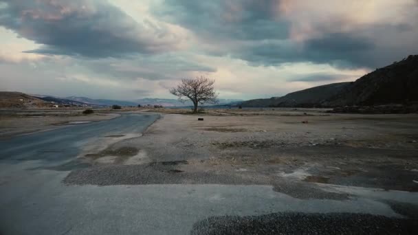 Apokaliptikus Jelenet Elhagyatott Sivatagi Területen Drón Lassan Közeledik Fához Levelek — Stock videók