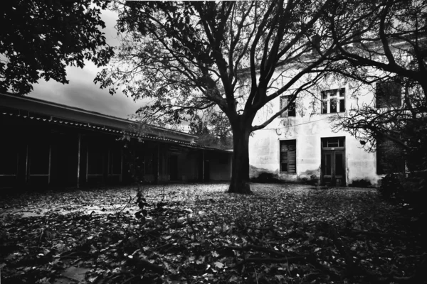 Casa de terror embrujada abandonada — Foto de Stock