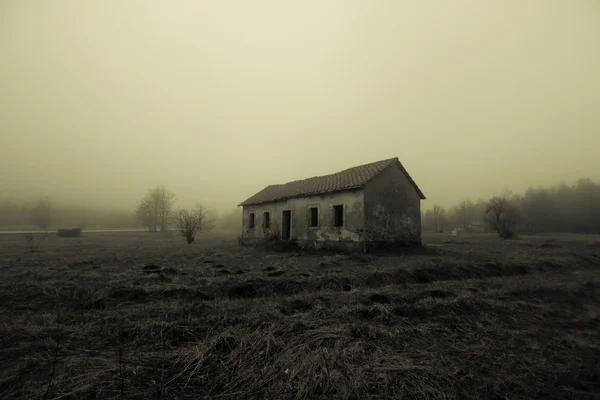 Casa dell'orrore infestata nella foresta — Foto Stock