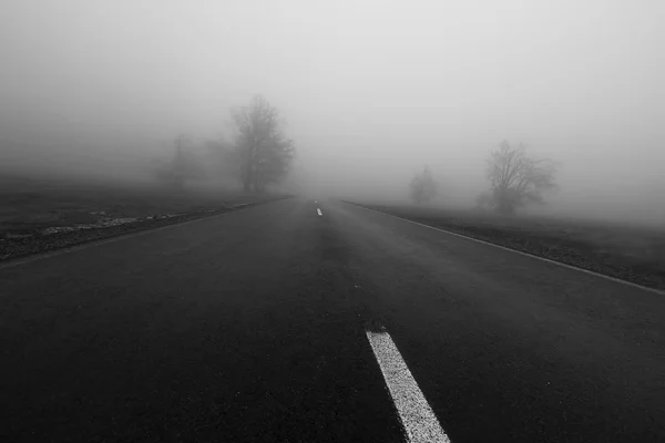 Escena de horror del camino brumoso en el bosque — Foto de Stock