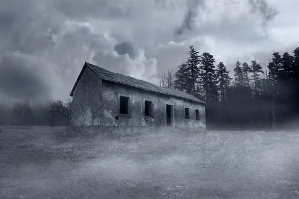 Spooky Abandoned Horror House in the Misty Forest Stok Fotoğraf