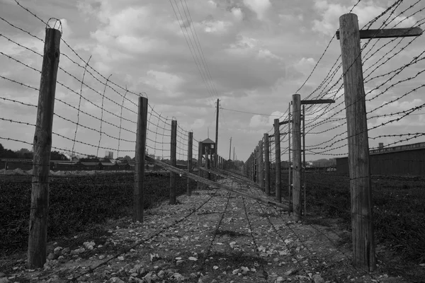 Barb wire plot v koncentračním táboře Majdanek — Stock fotografie
