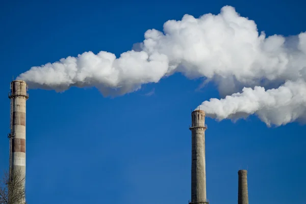 Plant tubes and white smoke against blue sky — Stock Photo, Image