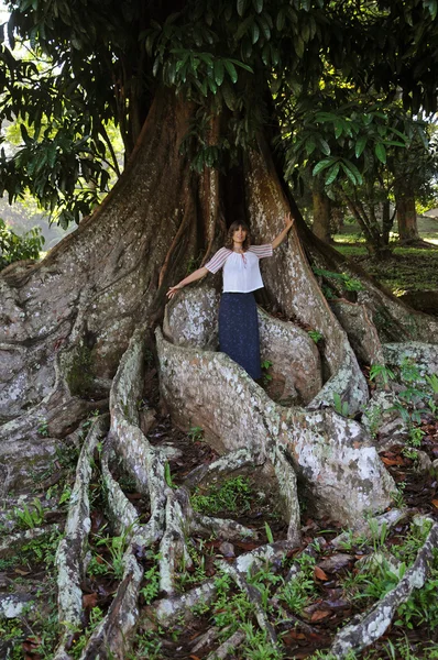 Žena mezi kořeny obří tropického stromu — Stock fotografie