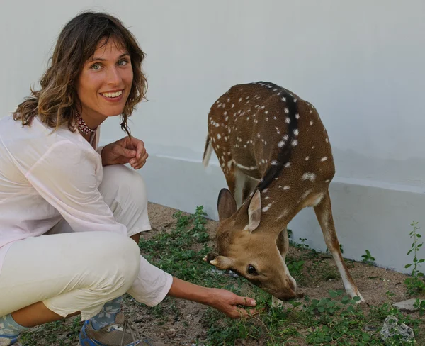 Contacto con animales —  Fotos de Stock