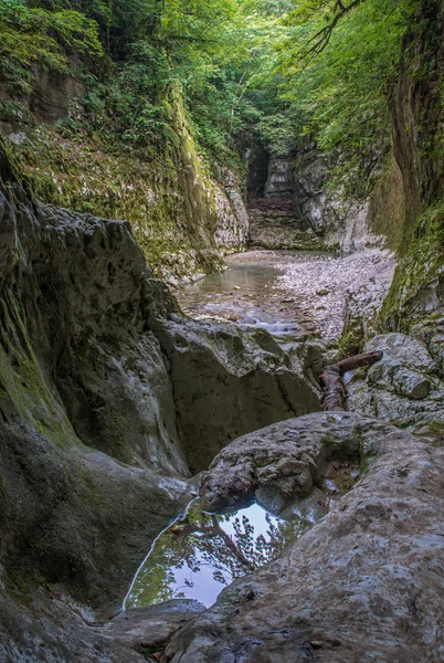 Canyon vert et personne — Photo