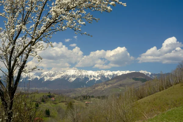 Primavera na Transilvânia Alpes — Fotografia de Stock