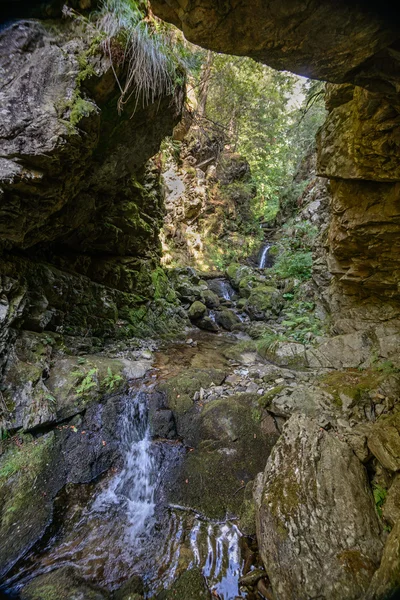 Canyon con piccolo fiume — Foto Stock