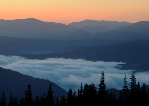 Escena del amanecer con niebla — Foto de Stock