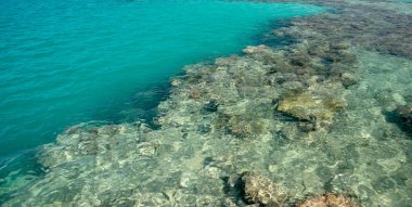 Lagün mercan resifleri ile