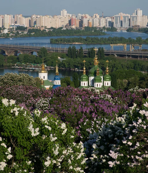 Kiev vue de dessus pendant la fleur de lilas — Photo