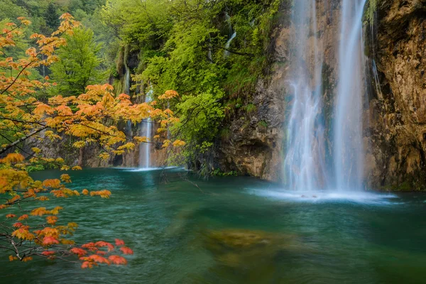 Scene with waterfall and orange maple branch — Stock Photo, Image