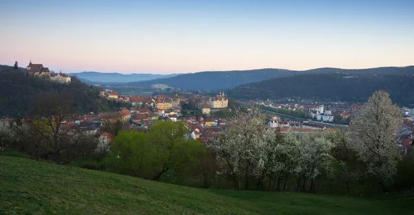 Sighisoara panoramic  view — Zdjęcie stockowe