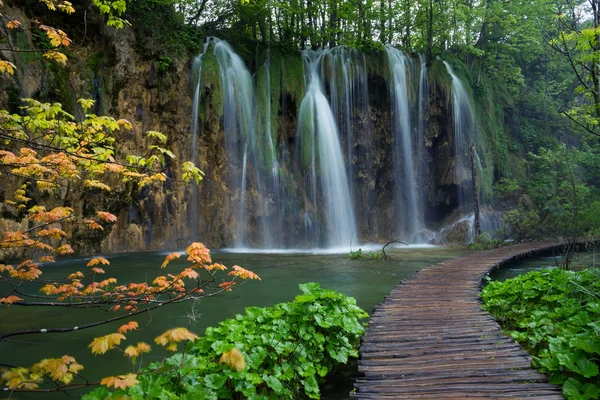 Waterfall and orange maple branch — Stock Photo, Image