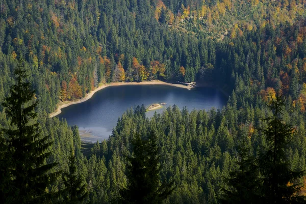 See umgeben von Herbstbäumen — Stockfoto