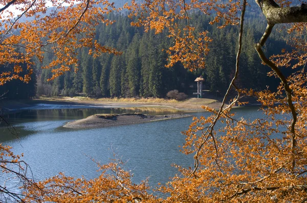 Lago Synevyr en otoño — Foto de Stock