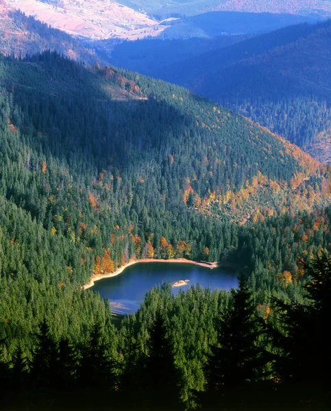 Synevyr Lake autumn view — Stock Photo, Image