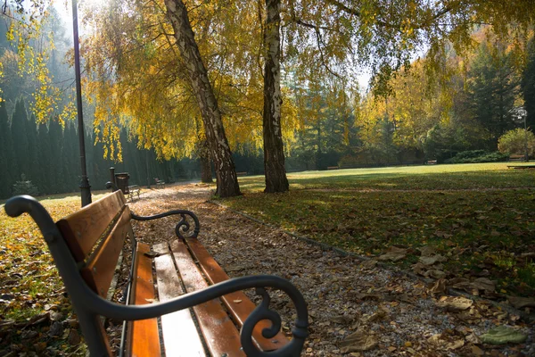 Podzimní scéna v parku — Stock fotografie