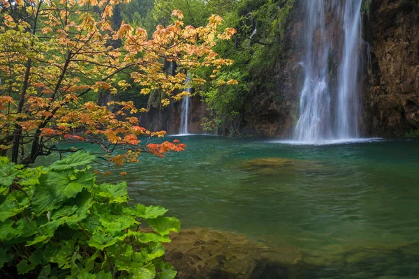 Пейзаж с водопадом и красным деревом — стоковое фото