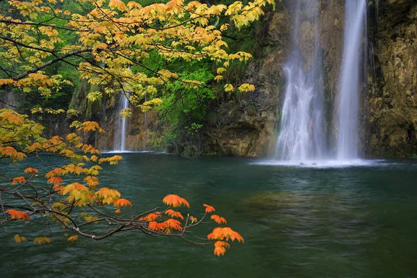 Orange maple leaves against waterfall background — Stock Photo, Image