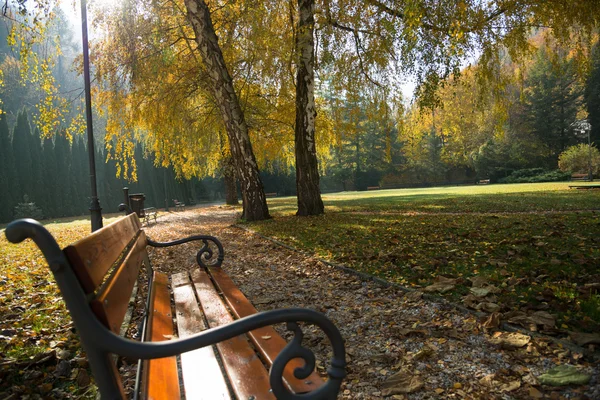 Podzimní scéna v Lilafured parku — Stock fotografie