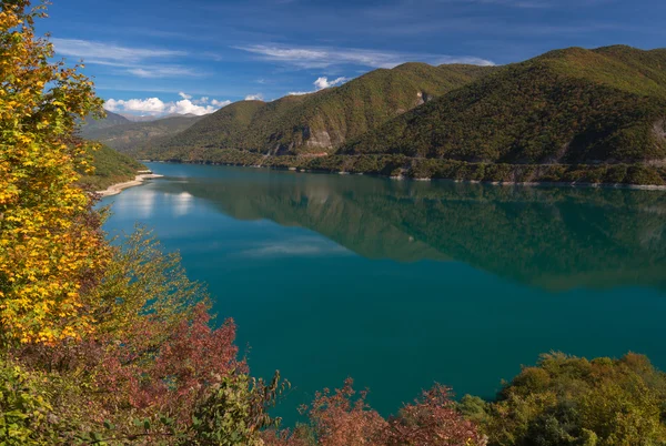 Autumn landscape with green lake — Stock Photo, Image