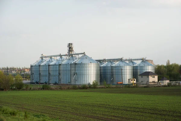 Grain Elevators Green Field Foreground — Stock Photo, Image