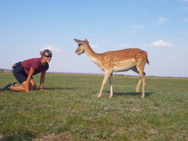 Kız yeşil çimlerde, bir geyiğin yanında oturuyor. Birbirlerine bakıyorlar. Askania-Nova - safari.