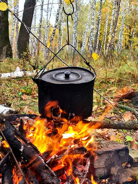 Velho Chapéu Preto Pendura Sobre Fogo Madeira Bétula Bosque Fundo — Fotografia de Stock