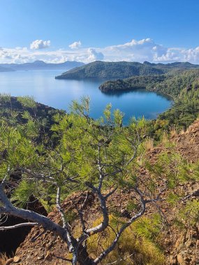 Yeşil ormanlarla çevrili deniz manzarası. Türkiye 'de Datca Yarımadası.
