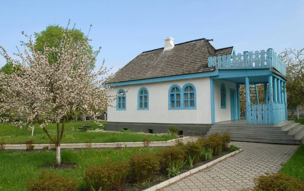 Witte Huis Van Kosachy Kosachi Landgoed Kolodiazhne Dorp Voorjaarsbloesemboom Voorgrond — Stockfoto