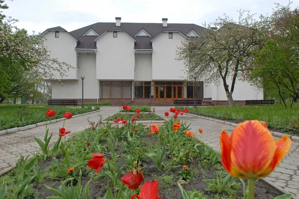 Lesya Ukrainka Museo Kolodiazhne Edificio Del Museo Está Rodeado Jardín —  Fotos de Stock