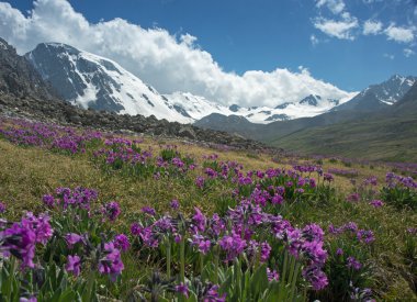 Tien Shan - genel görünümü